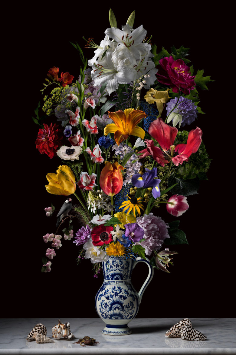 Julija Levkova - Dutch Blend