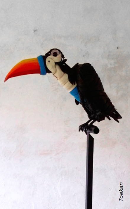 Serge van de Put - Toucan
