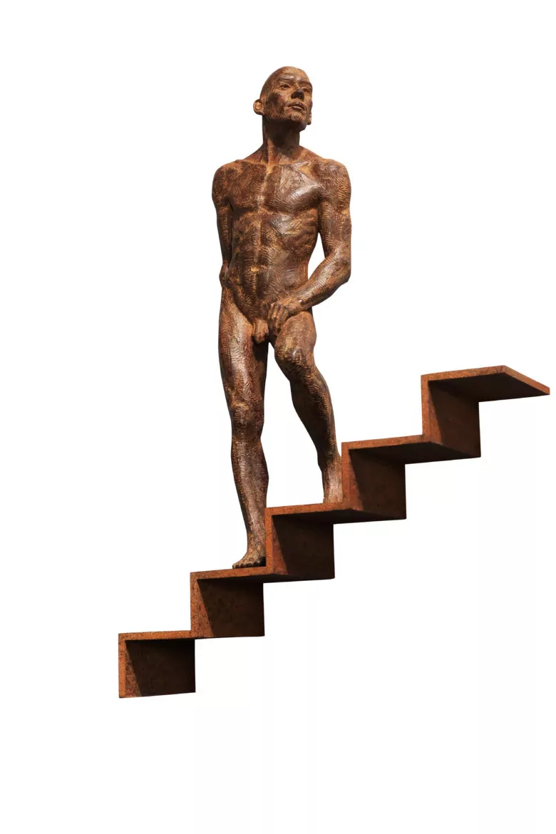 Philippe Timmermans - Obiter (Wall sculpture)