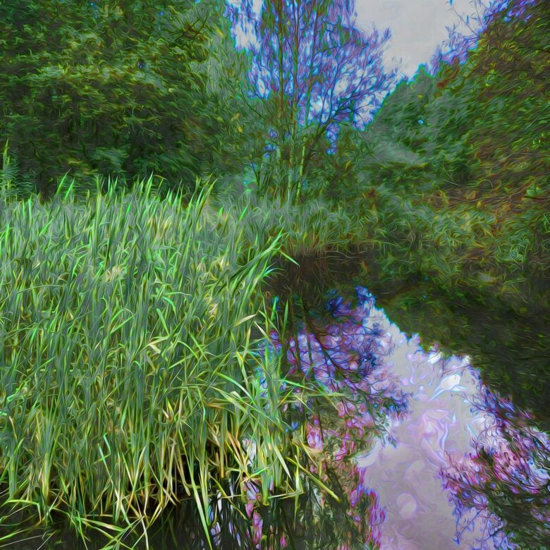 Tos Kostermans - The Green Meadow