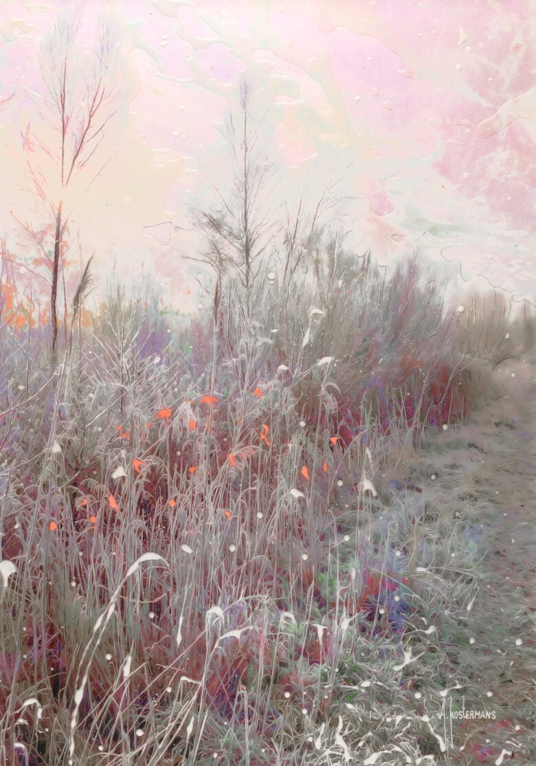 Tos Kostermans - Frozen Landscape