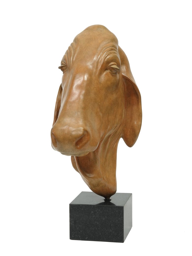 Renée Marcus Janssen - Aziatische Koe – Bruin