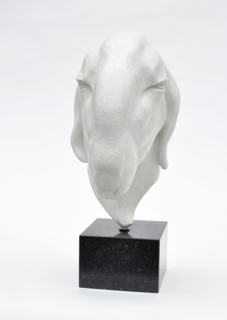 Renée Marcus Janssen - Spectacle sheep – Gray