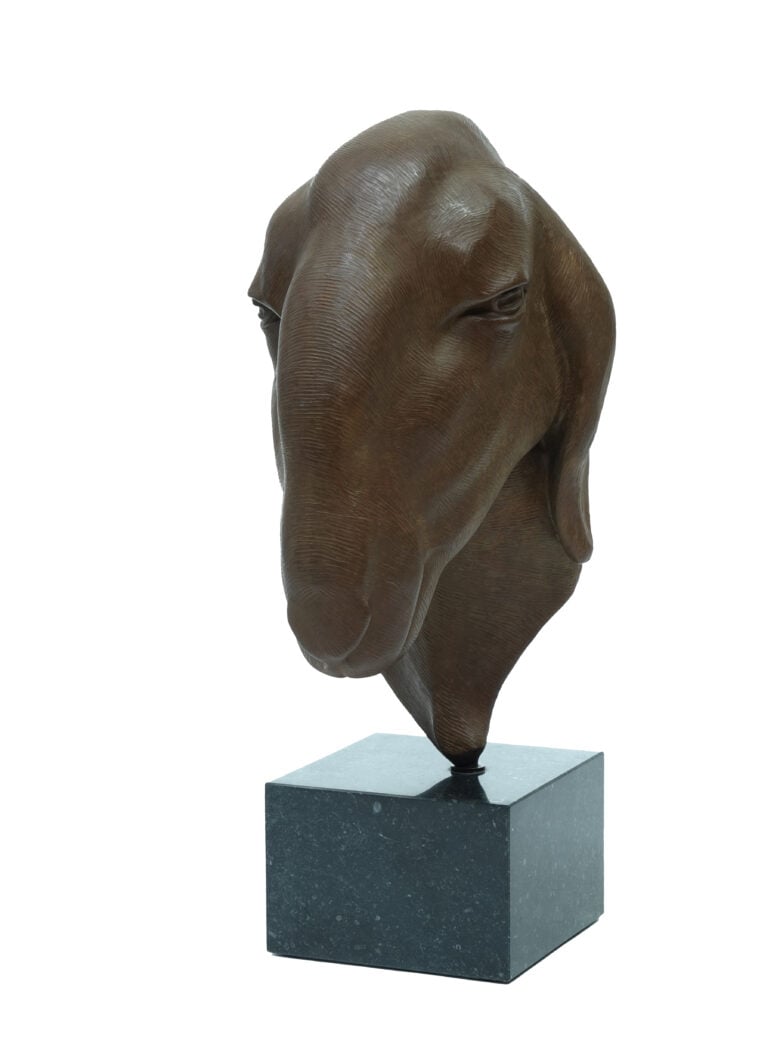 Renée Marcus Janssen - Brilschaap – Bruin