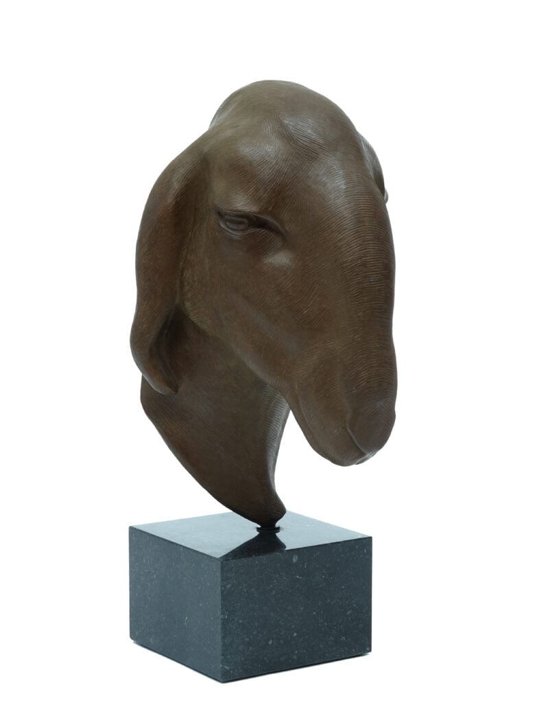 Renée Marcus Janssen - Brilschaap – Bruin