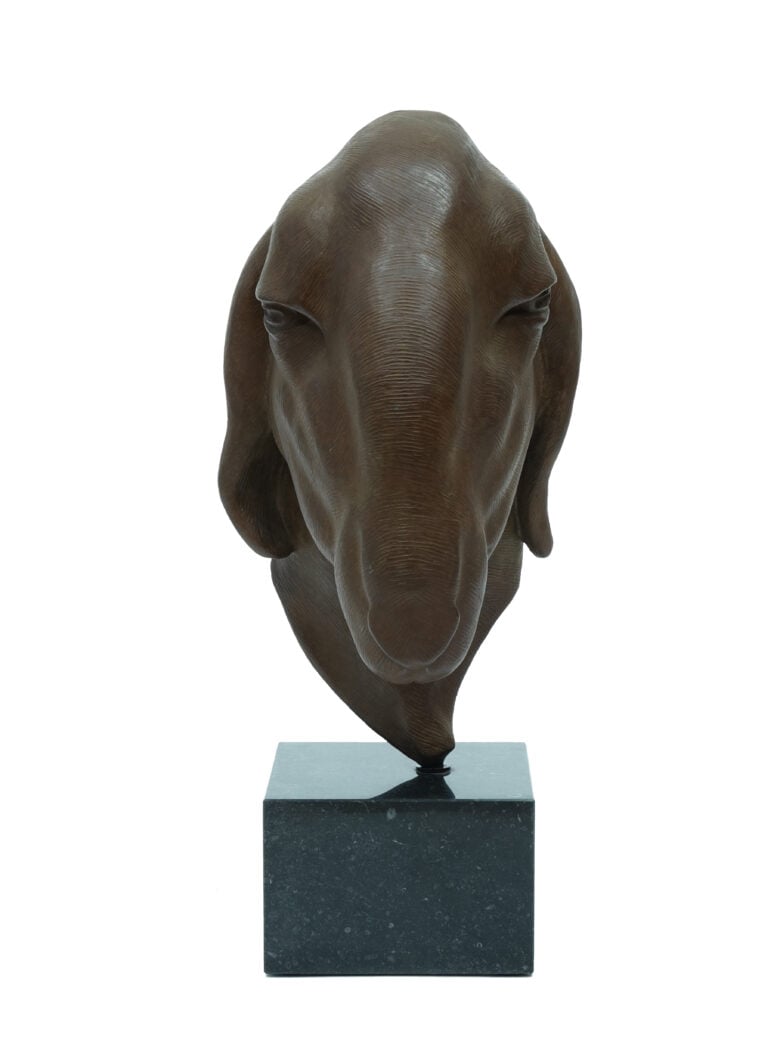 Renée Marcus Janssen - Brilschaap – Bruin