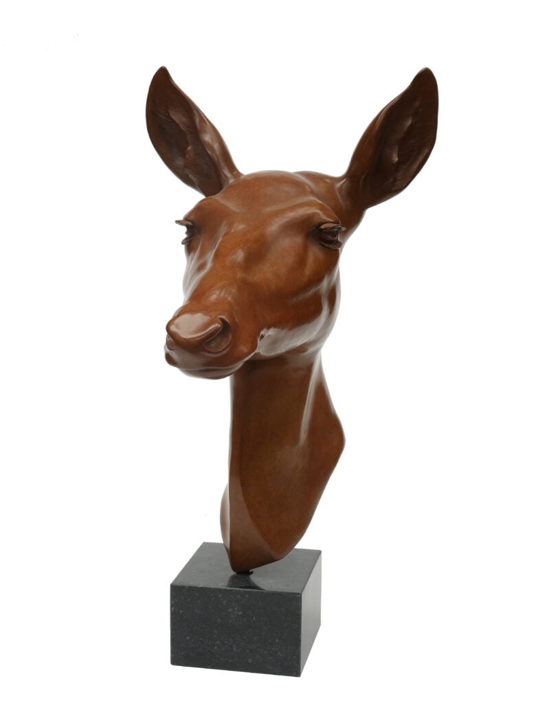 Renée Marcus Janssen - Red deer