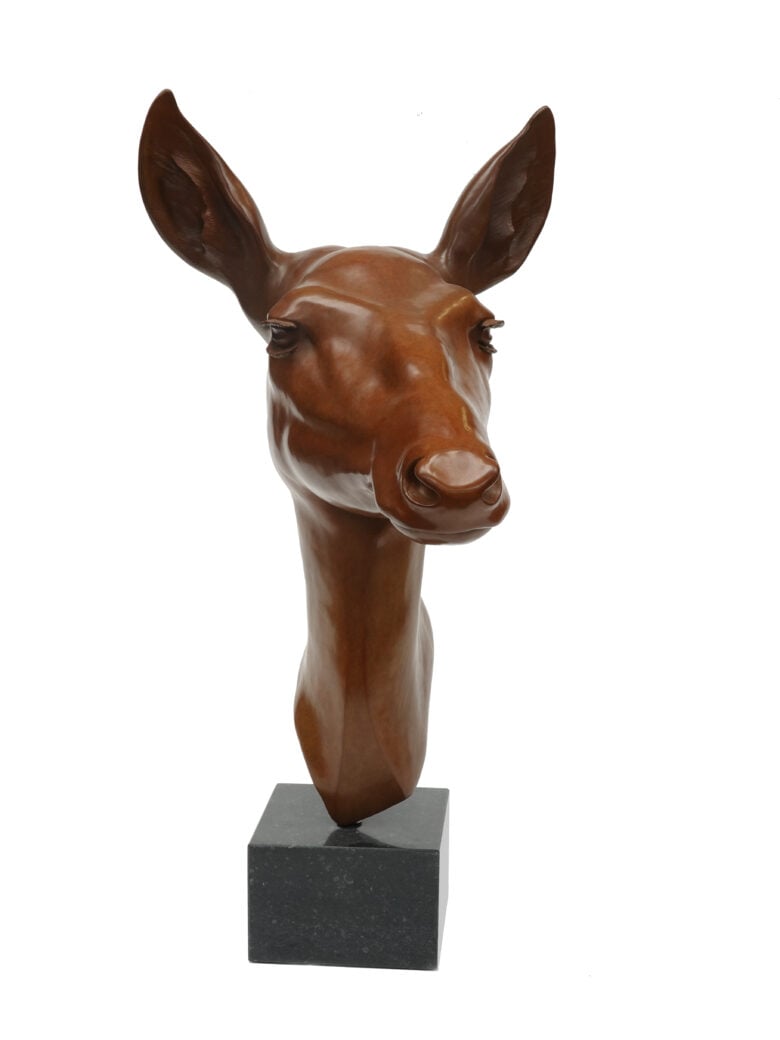 Renée Marcus Janssen - Red deer