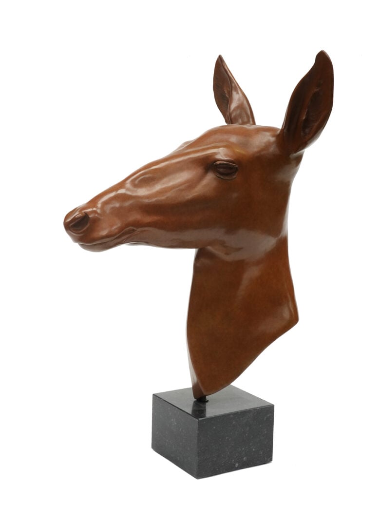 Renée Marcus Janssen - Red deer