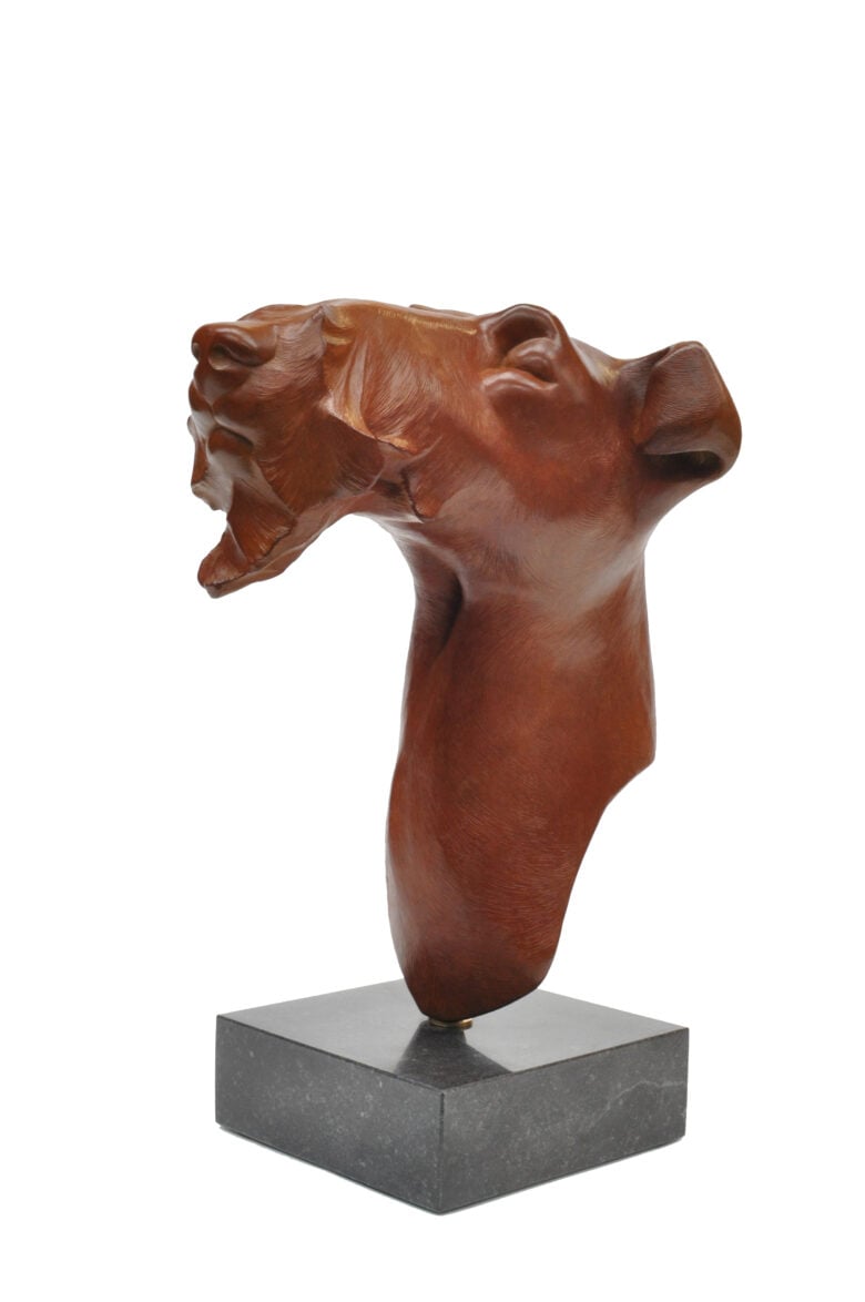 Renée Marcus Janssen - Fox Terian