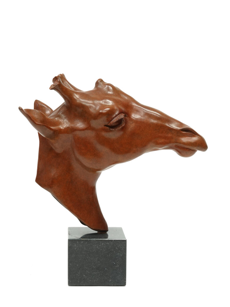Renée Marcus Janssen - Giraffe