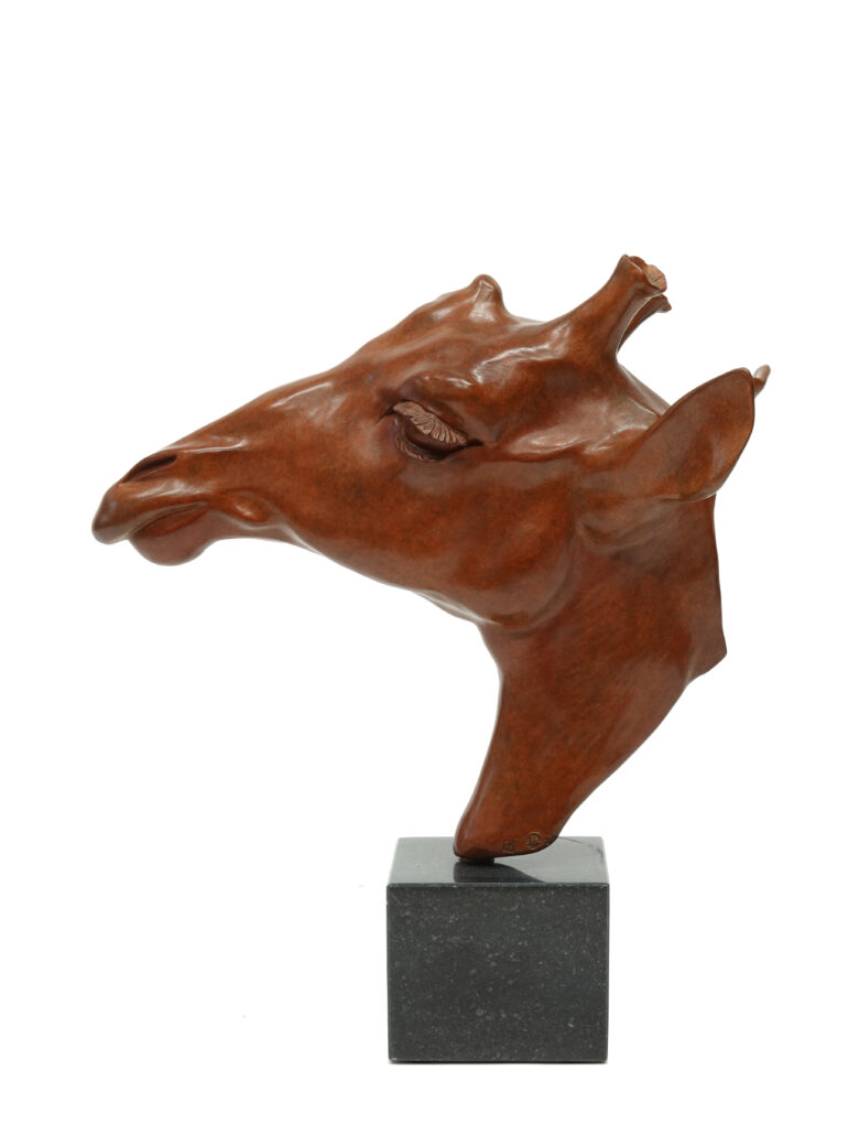 Renée Marcus Janssen - Giraffe