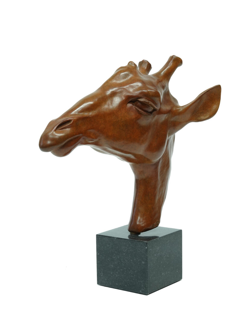 Renée Marcus Janssen - Giraffe