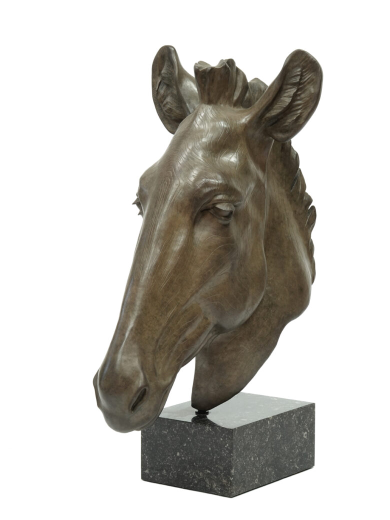 Renée Marcus Janssen - Grévy Zebra