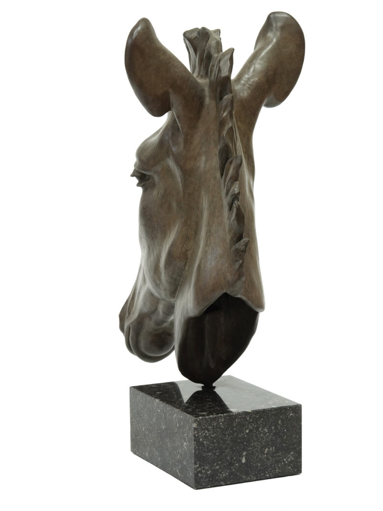Renée Marcus Janssen - Grévy Zebra