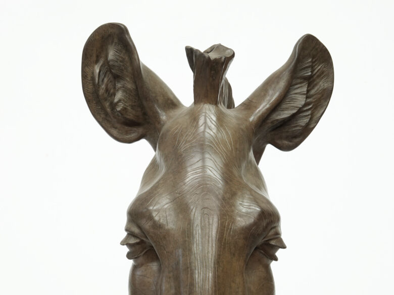 Renée Marcus Janssen - Grévy Zebra
