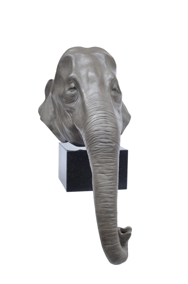 Renée Marcus Janssen - Indian Elephant