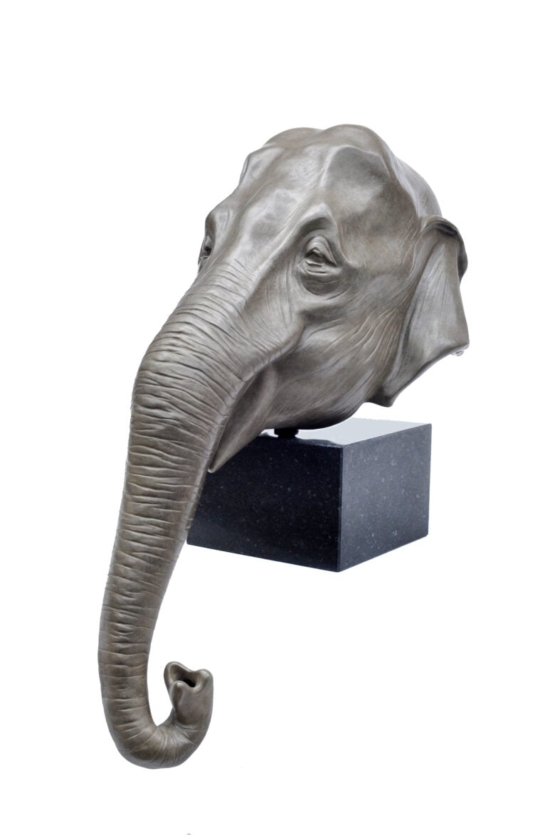 Renée Marcus Janssen - Indian Elephant