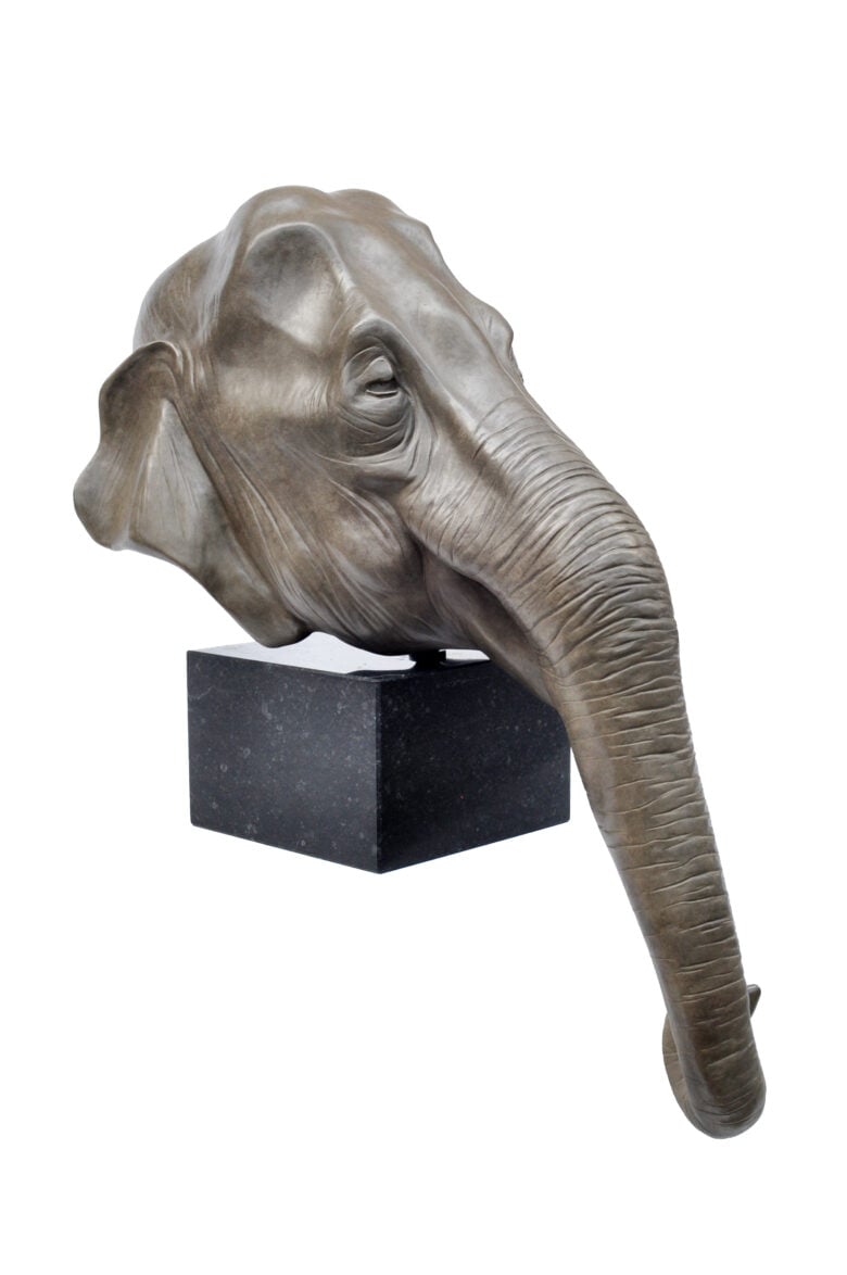 Renée Marcus Janssen - Indian Elephant