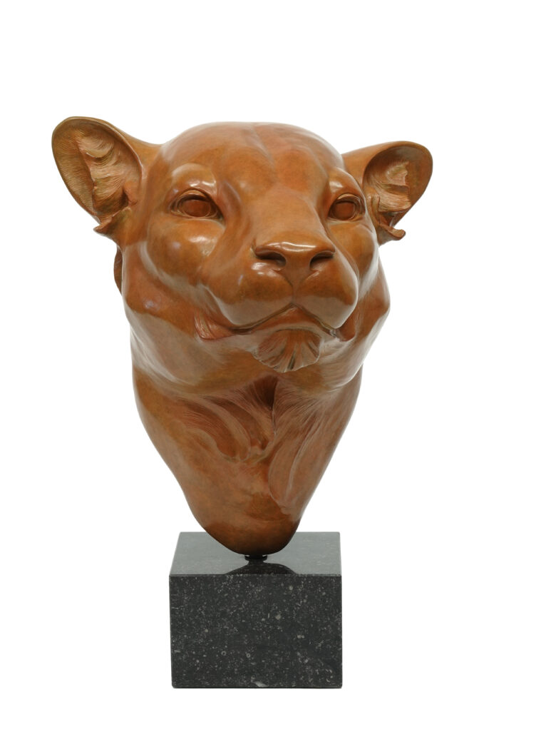 Renée Marcus Janssen - Leopard