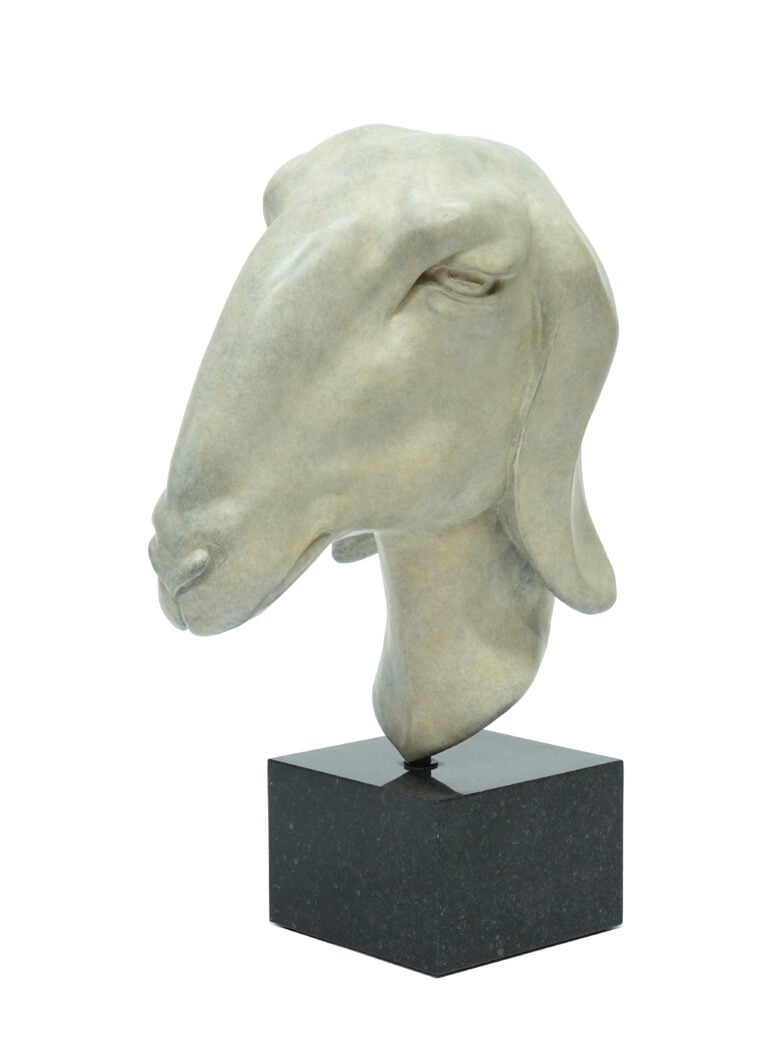Renée Marcus Janssen - Nubian Goat