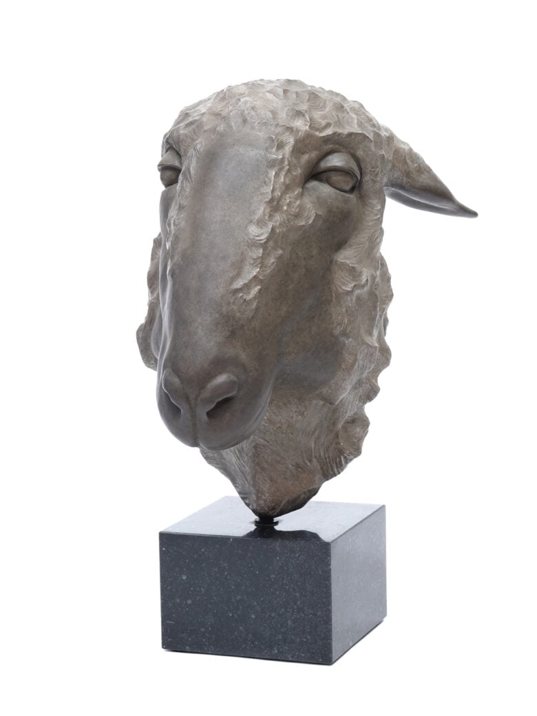 Renée Marcus Janssen - Schaap – Oxford Down