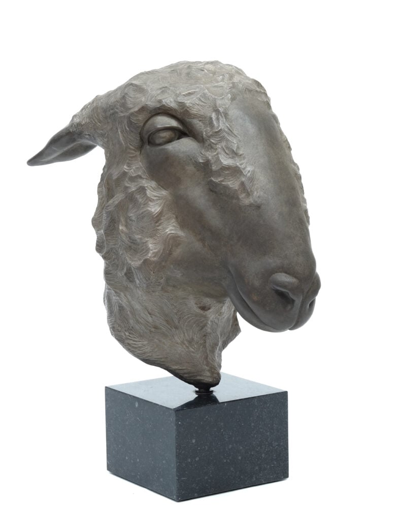 Renée Marcus Janssen - Schaap – Oxford Down