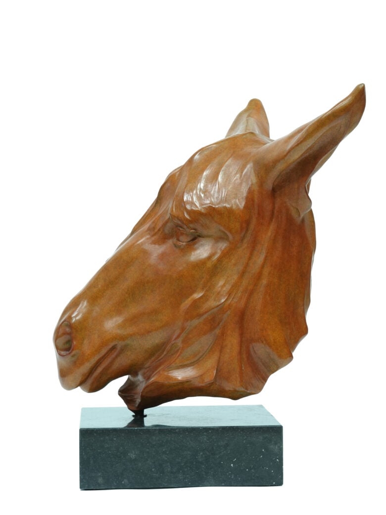 Renée Marcus Janssen - Poitou Donkey