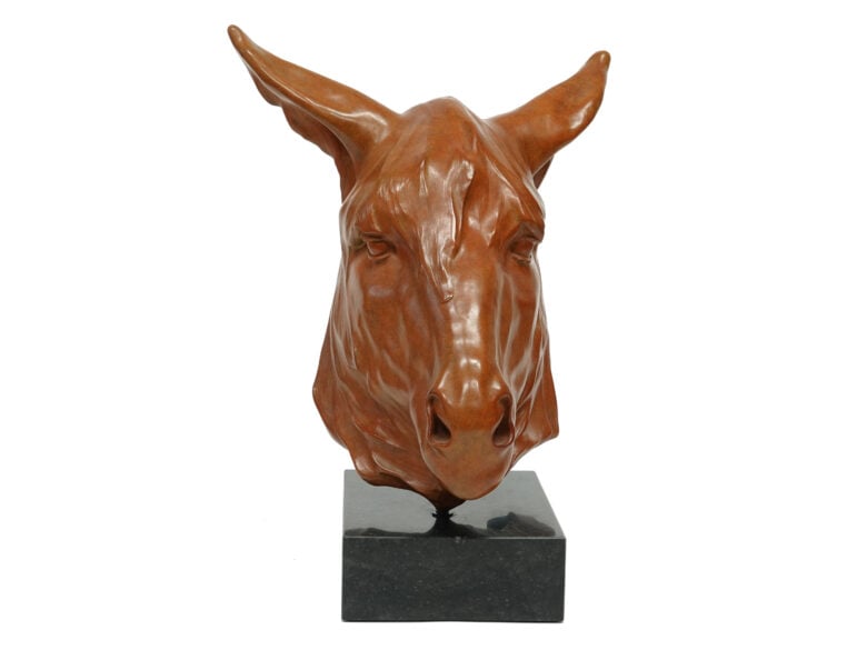 Renée Marcus Janssen - Poitou Donkey