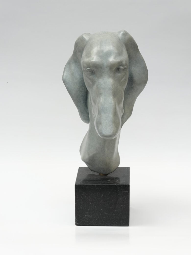 Renée Marcus Janssen - Saluki Greyhound