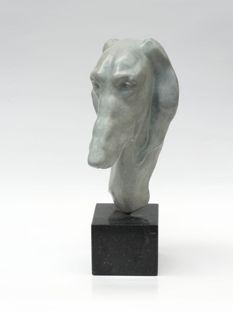 Renée Marcus Janssen - Saluki Greyhound