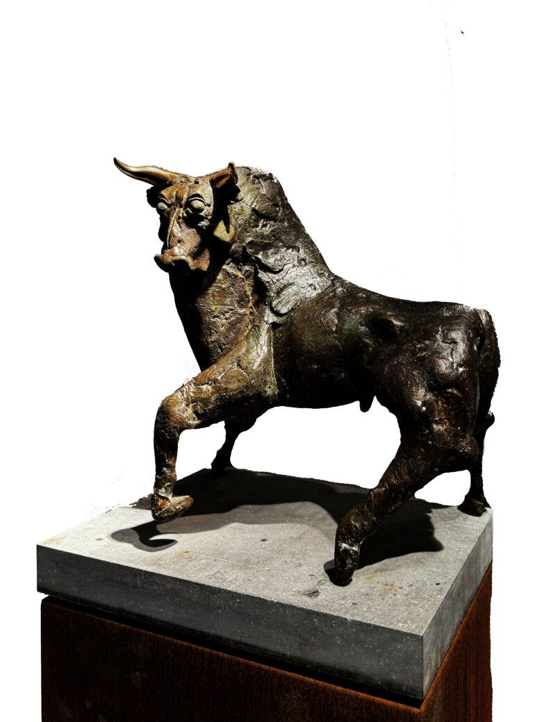 Wim Steins - Bull