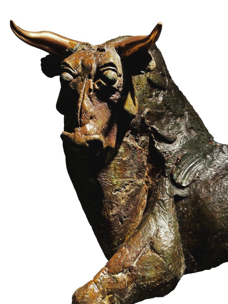 Wim Steins - Bull