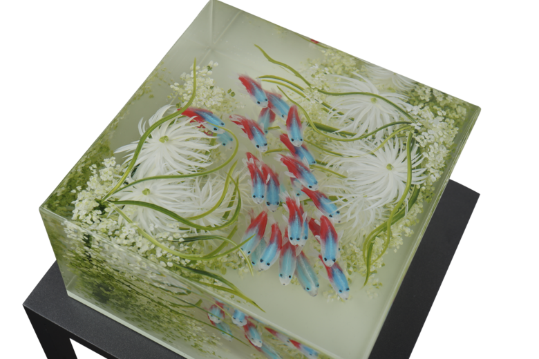 Ben Kleyn - A School Of Neon Tetras