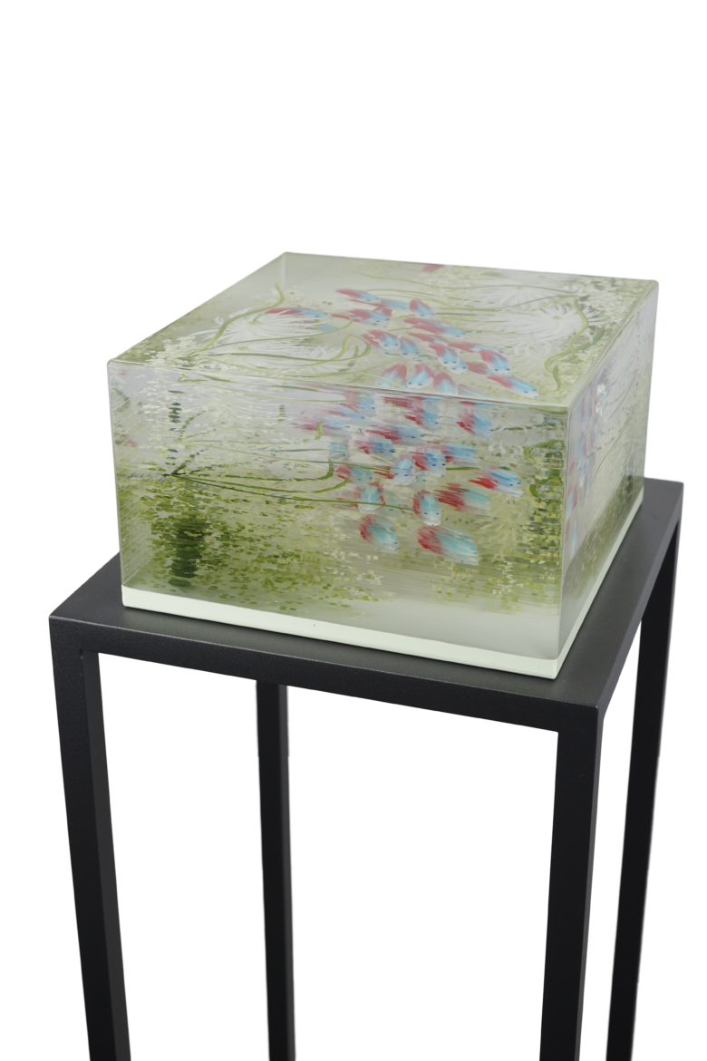 Ben Kleyn - A School Of Neon Tetras