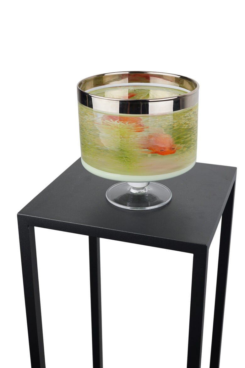 Ben Kleyn - Two Happy Fish Quietly Waiting For What Is To Come