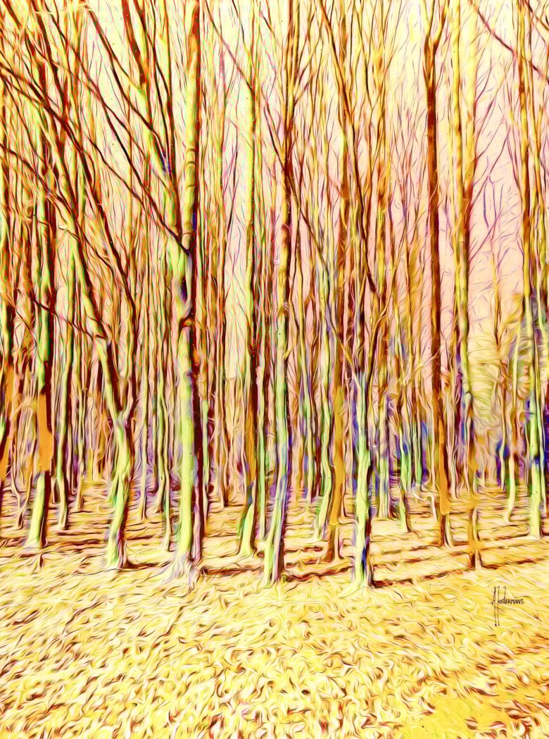 Tos Kostermans - Colorful Trees