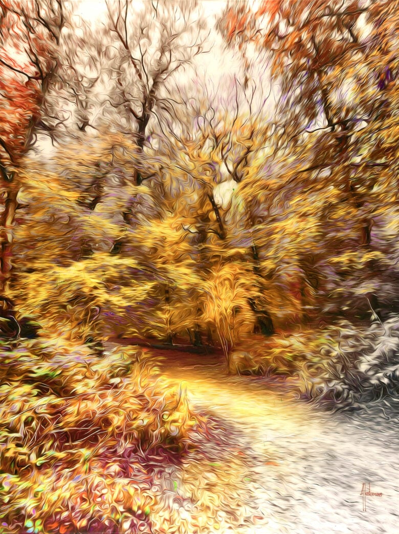 Tos Kostermans - Forest In Motion