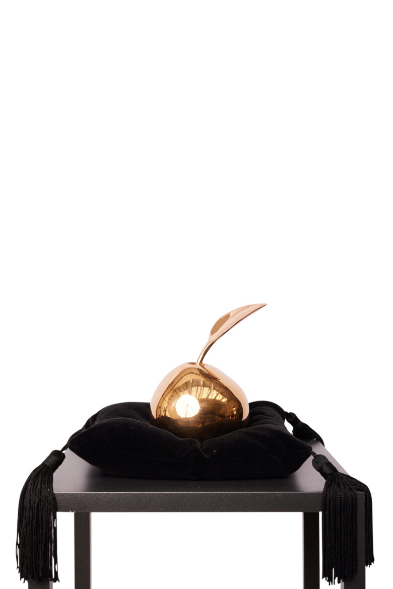 Bart Somers - Paradise