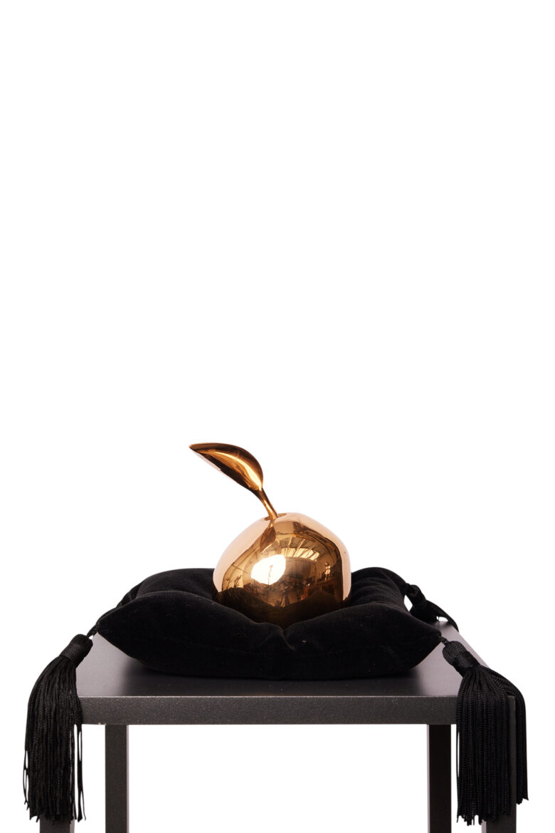 Bart Somers - Paradise