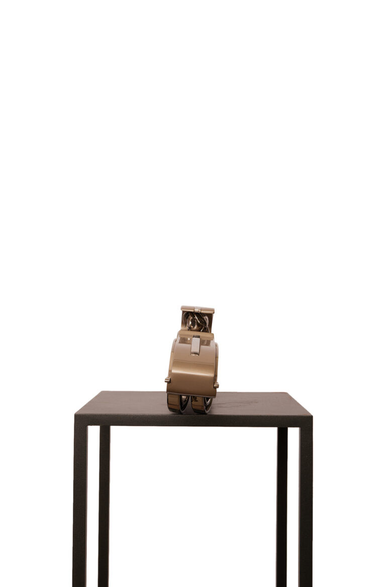 Bart Somers - Jaguar E-Type