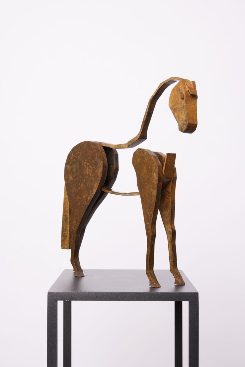 Bart Somers - Paard