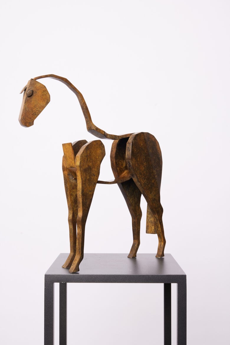 Bart Somers - Paard