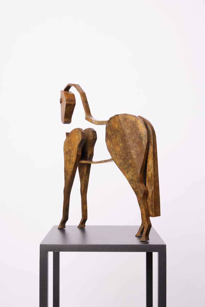 Bart Somers - Paard