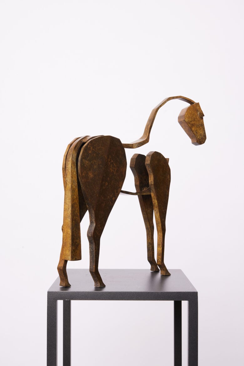 Bart Somers - Paard