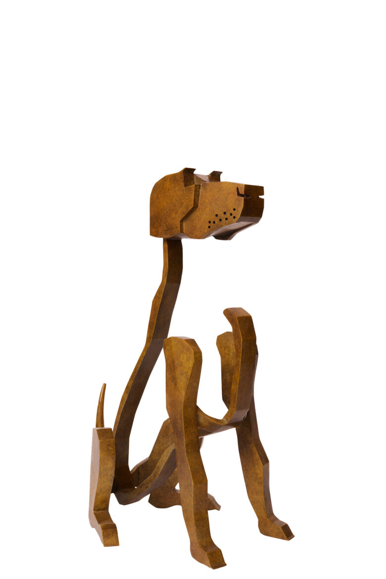 Bart Somers - Viszala