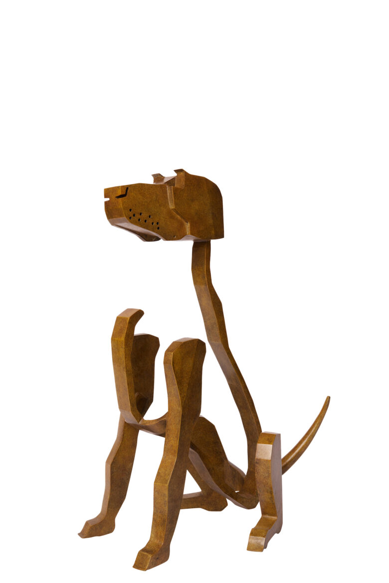 Bart Somers - Viszala