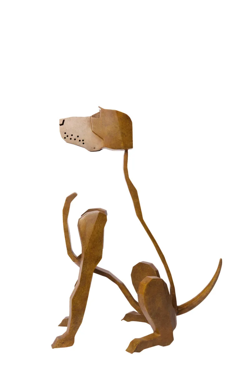 Bart Somers - Viszala