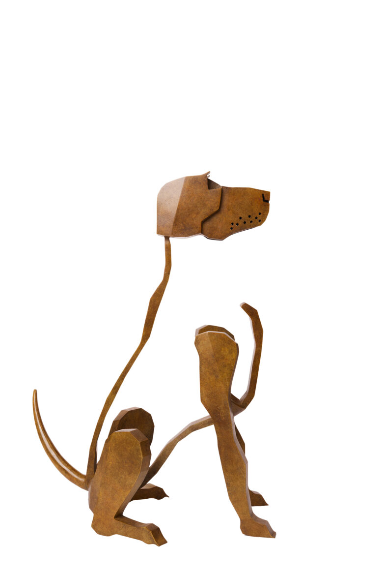 Bart Somers - Viszala