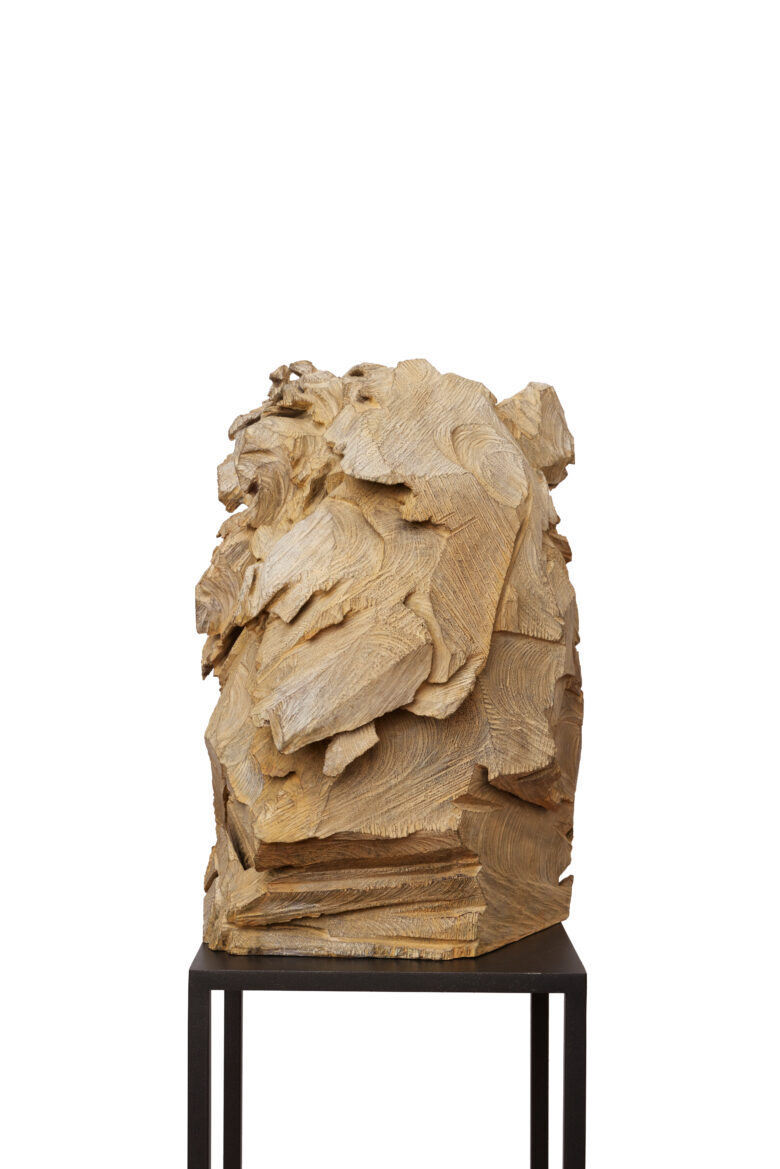 Jürgen Lingl - Great Old Lion